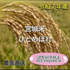 令和7年産 宮城米 ひとめぼれ 玄米(白米)10kg 農家直送のサムネイル