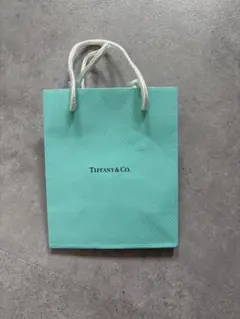 Tiffany & Co. ショップ袋 ショッパーのサムネイル