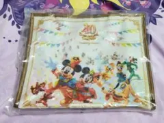 TDR40周年 スペシャルルーム バッグ 赤 ①