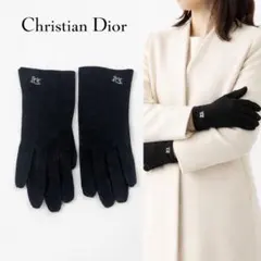 2026年最新】dior グローブの人気アイテム - メルカリ