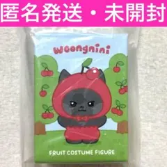 ゼロニ zeroni ウンニニ バッテリー キムジウン ゼロニ zeroni ウンニニ バッテリー キムジウン ZB1 ジウン