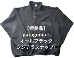【極美品】patagonia L オールブラック シンチラスナップT