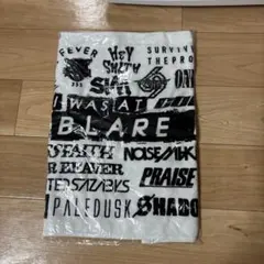 Item thumbnail for item 1ee75715-6bc6-4de0-9e53-8e865add7dd0