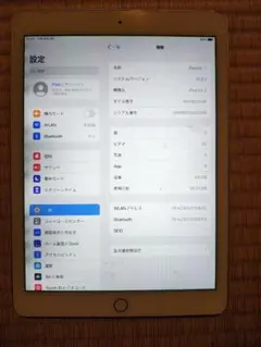 iPad Air 2 64GB｜動作正常｜ケース付属