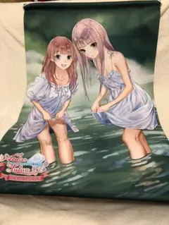ルルアのアトリエB2タペストリーB