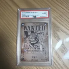 2026年最新】バギー 手配書 psa10の人気アイテム - メルカリ