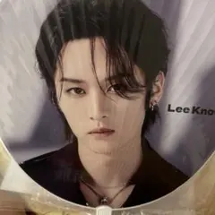 Stray Kids Lee Know うちわ 5-STAR Dome Tour