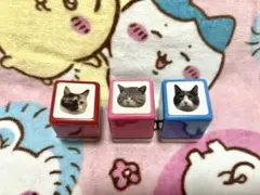 2026年最新】岩合光昭 スタンプの人気アイテム - メルカリ