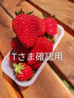Tさま確認用