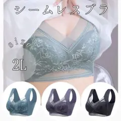 ノンワイヤーブラ3枚組　2L　LL　XL　シームレス　ナイトブラ　着痩せ　美乳