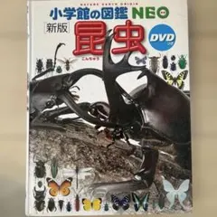 新版 昆虫 小学校館の図鑑NEO