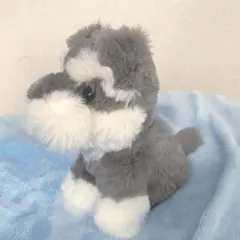 那須ハイランドパーク わんちゃんくじ ぬいぐるみ 犬　シュナウザー