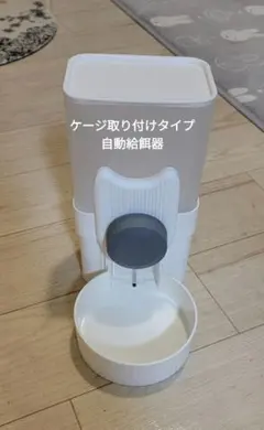 Item thumbnail for item 981d5fa2-1971-4c34-8e22-0a606512ebdb