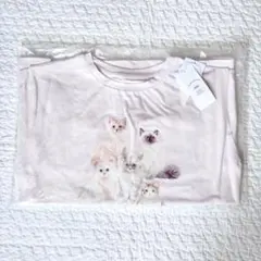 gelato pique 猫さん柄　ルームウェア Tシャツ　ピンク