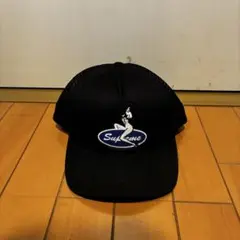 【即完売品】Supreme Pin Up Mesh Back 5-Panel