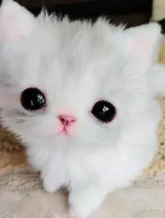 ぬいぐるみ、ぬこ、子猫、ハンドメイド、オリジナル、リアル、全身可動、肉球 ぬいぐるみ、ぬこ、子猫、ハンドメイド、オリジナル、リアル、全身可動