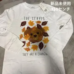 ポロラルフローレン　ポロベア　ベアープリント　白Tシャツ　150