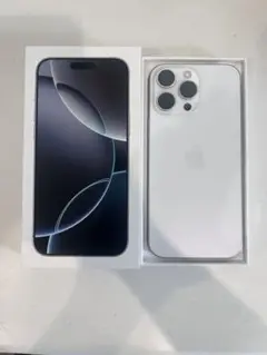 iPhone 16 Pro Max 256GB 最大容量100%