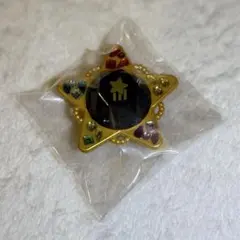 スタライ 10th 流星隊 南雲鉄虎 リングライト