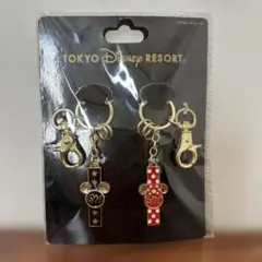 東京ディズニーリゾート キーホルダー 2個セット