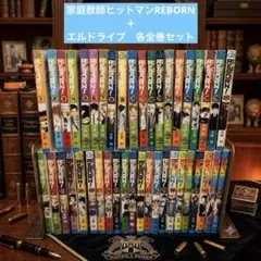 AAA級美品 文庫版 初版 家庭教師ヒットマン リボーン エルドライブ