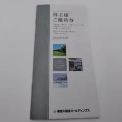 東急不動産ホールディング株主優待券（1000株以上）