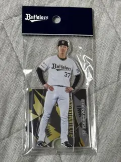 新品未開封　オリックスバファローズ　石川亮選手　開幕シリーズゴールドユニフォーム 2025年最新】オリックス ユニフォーム 開幕の人気アイテム