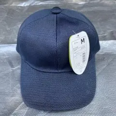 Item thumbnail for item 7a7d9b78-4ed4-4ee6-bcce-06f1204da32c