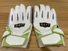 Item thumbnail for item 1b1abcf9-1fb3-4fea-b16c-0a4d1a3ff02c