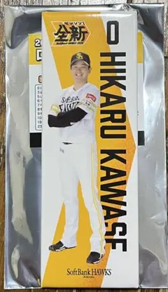 Item thumbnail for item d403ba63-607a-423d-960e-b9d713264b23