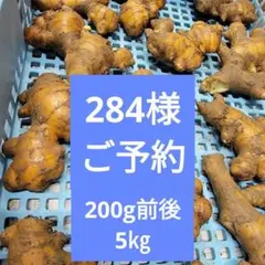 熟成118+5 糖質33%カット・カロリー26%カットクラブエコ - メルカリ