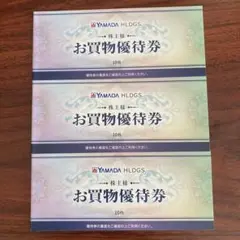 ヤマダ電機 株主優待券 お買物優待券 15000円分