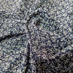 Item thumbnail for item cfa1373a-1e35-4de7-82d4-3e61520f805d