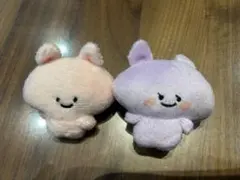 あさみみちゃんあねみみちゃん　ヘアクリップ2個セット　タイトープライズ品のサムネイル