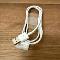 Apple Dock コネクタ 30ピン - USBケーブル MA591G/C
