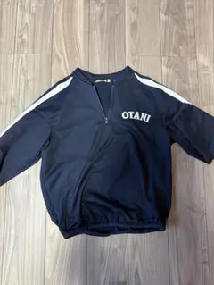 Item thumbnail for item 340d9c58-ac21-4cbc-a985-c2f0b8fe4fd8