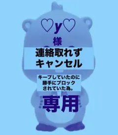 ♡y♡様 専用ページです (こちらもブロックしました！)