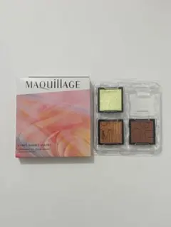 マキアージュ カスタマイズアイカラー EX01