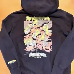 THE NORTH FACE エクスペディションシリーズ L ネイビー パーカー