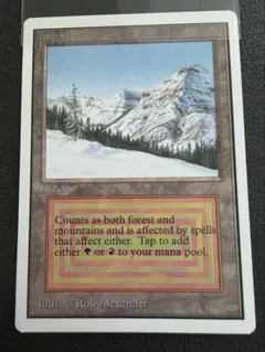 タートル様　専用