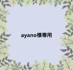 【ayano様専用】
