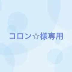 【12番目対応】コロン☆様専用