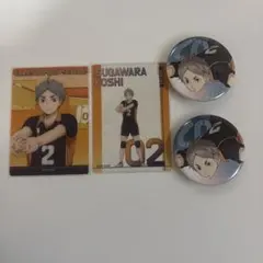 ハイキュー菅原孝支 まとめ売り