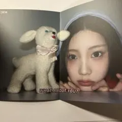 クォンウンビ　3rd concert Queen トレカ ウンビ 3rd concert QUEEN ランダム トレカ - メルカリ