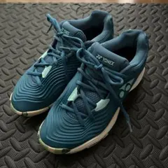 フュージョンレブ