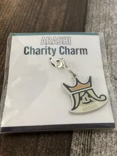 嵐　チャリティーチャーム