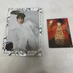 2026年最新】龍宮城 生写真の人気アイテム - メルカリ