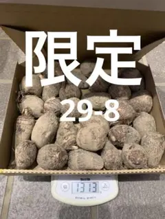 田島誠様 リクエスト 3点 まとめ商品