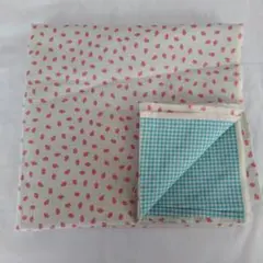 Item thumbnail for item 1106e016-6c35-4ea2-8979-b68f9389ac6a