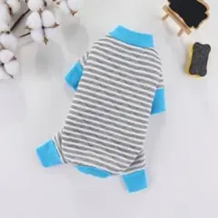 Item thumbnail for item 5812f9a4-1a9f-4b50-b2dc-afd447a98574